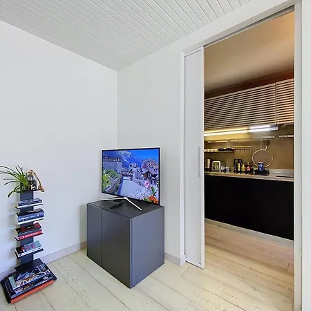 Two Bedroom Apartment, Hypercenter, Terrace Mont Blanc, Parking